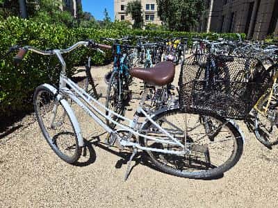 electra loft bicycle with basket 1