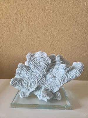 Stunning decorative piece 2