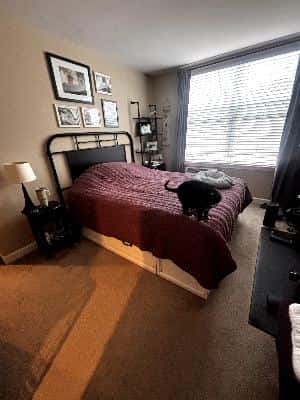 Pottery Barn Stratton Storage Platform Bed Frame with Drawers 1