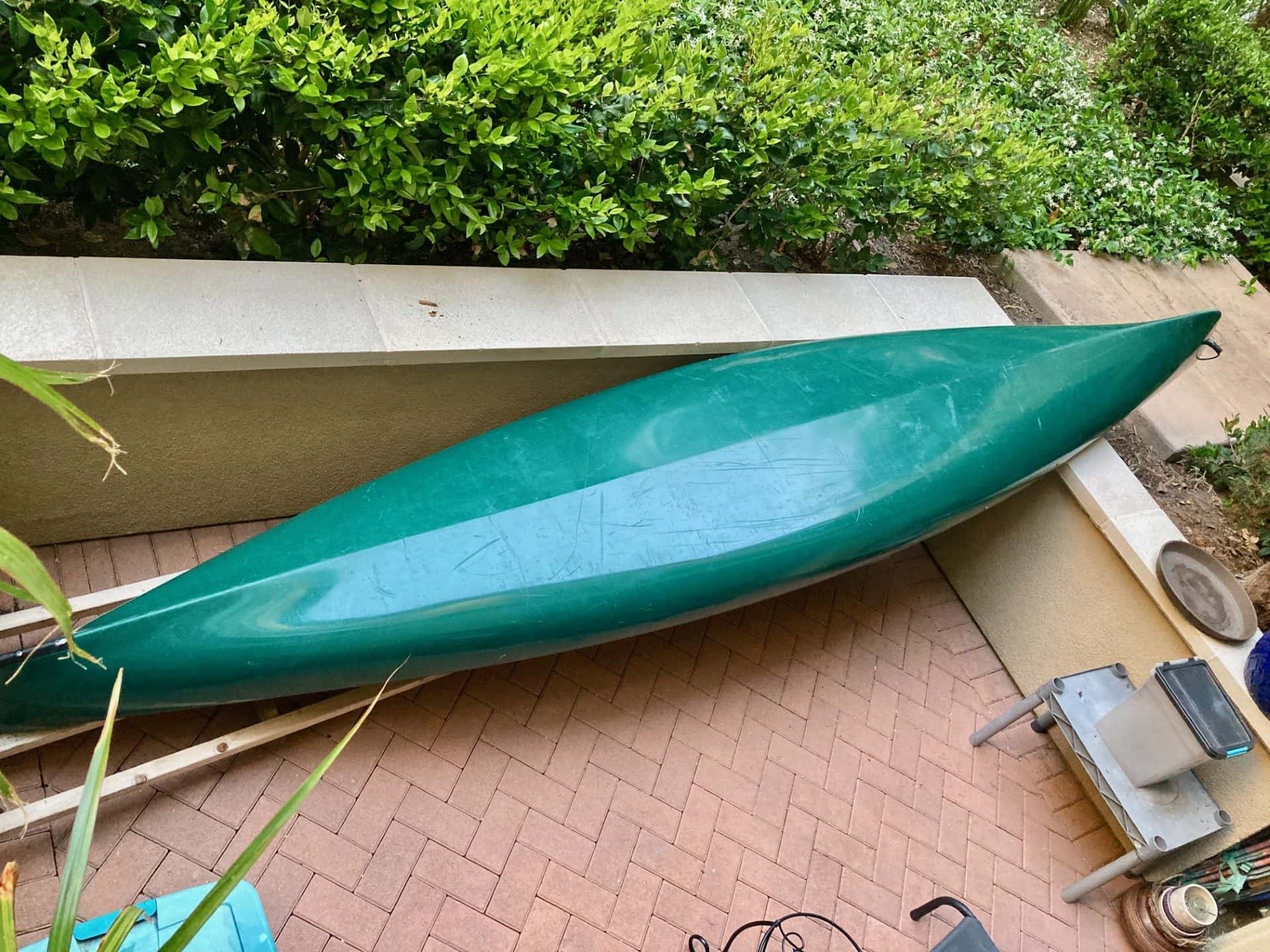 Kayak with Paddle 1