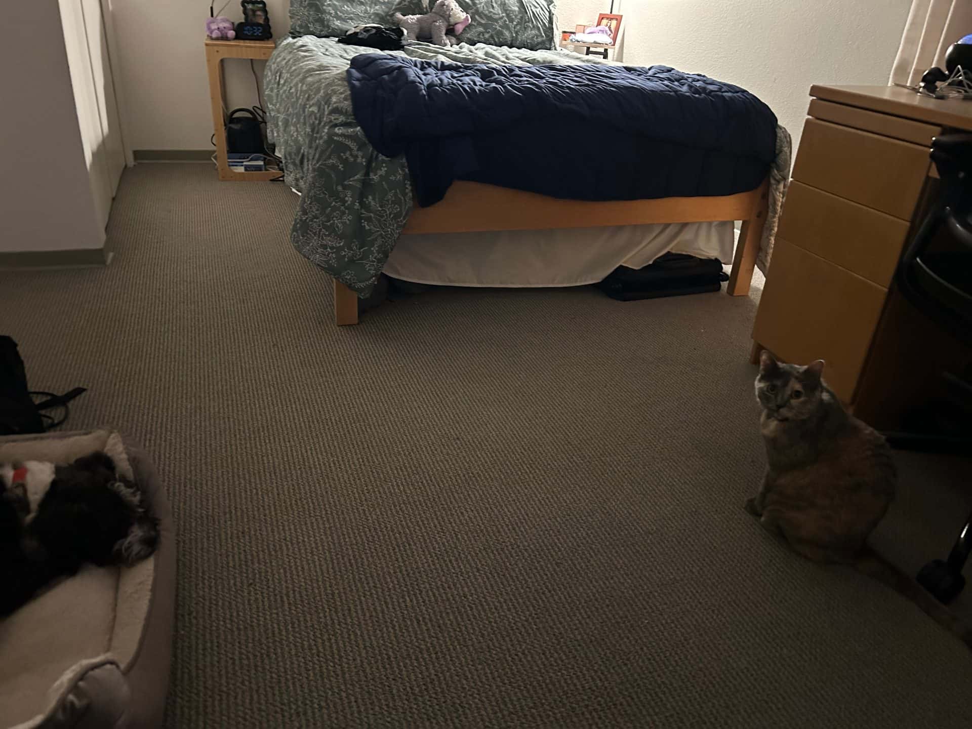 EV Studio For Rent June 8th-Sept. 12 (Dates Flexible) 1