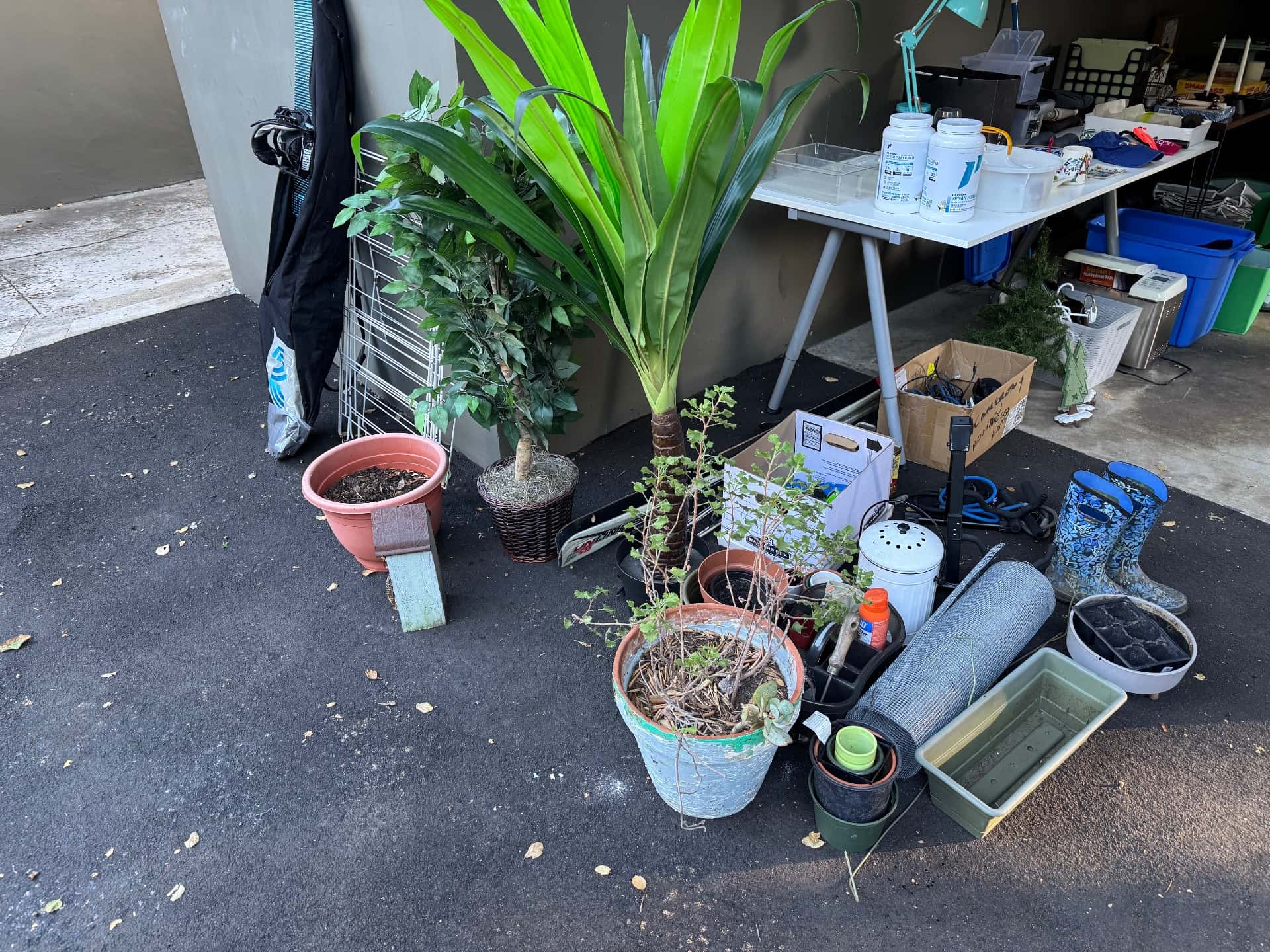Move-out giveaway & sale! 3