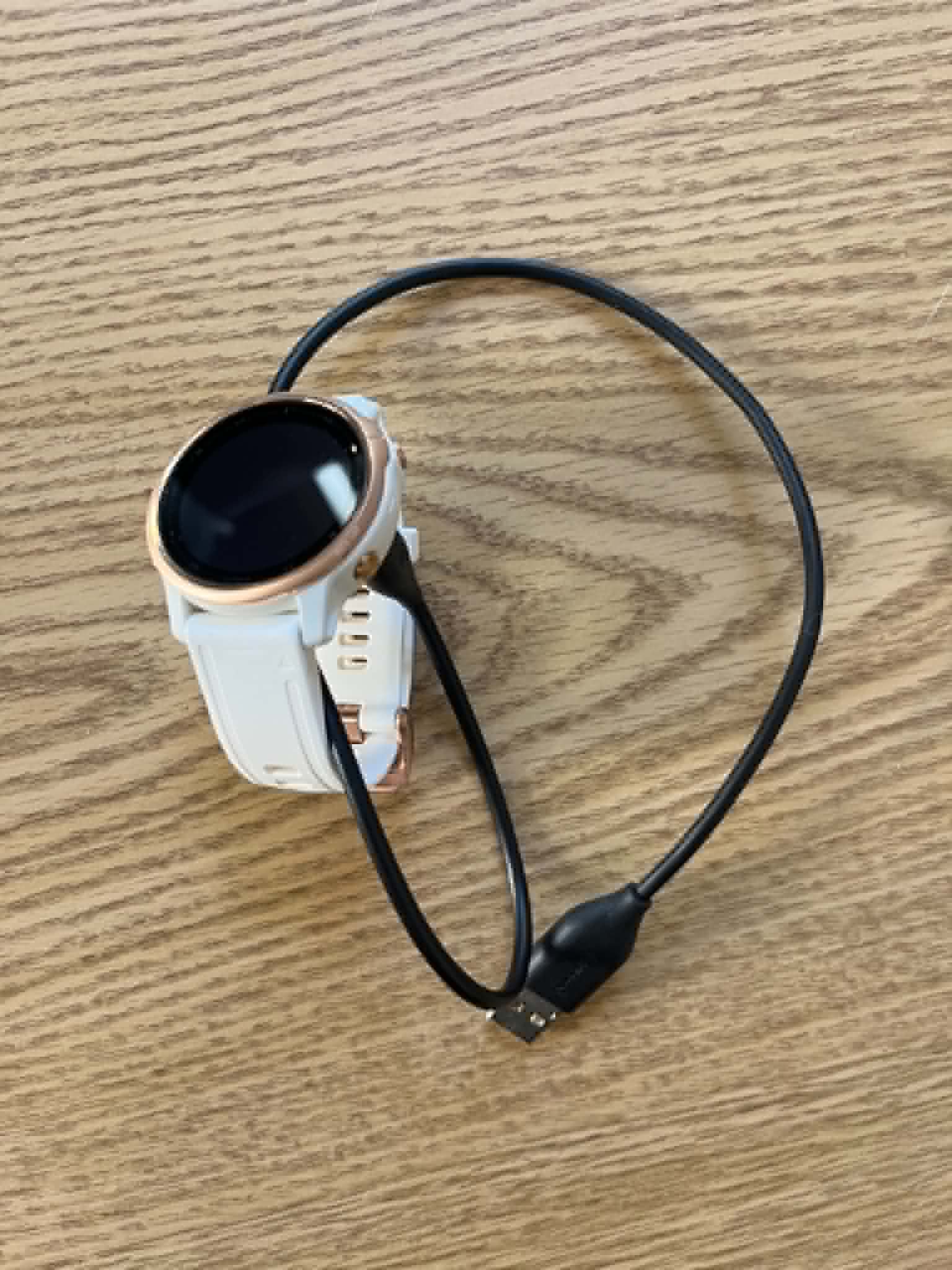 Garmin Fenix 6s pro watch 1