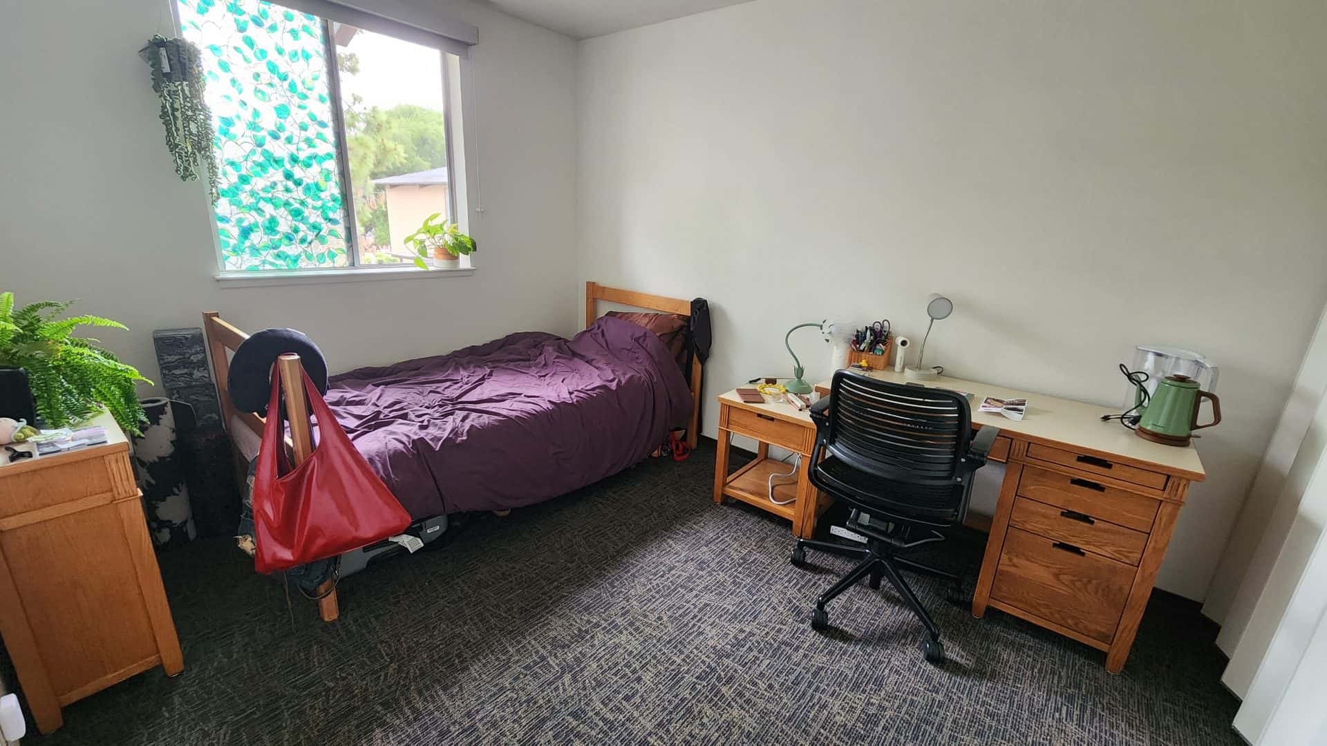 Stanford 2B1B EV Low-Rise Summer Sublease | June 22 – Aug 31st | Female Only 1